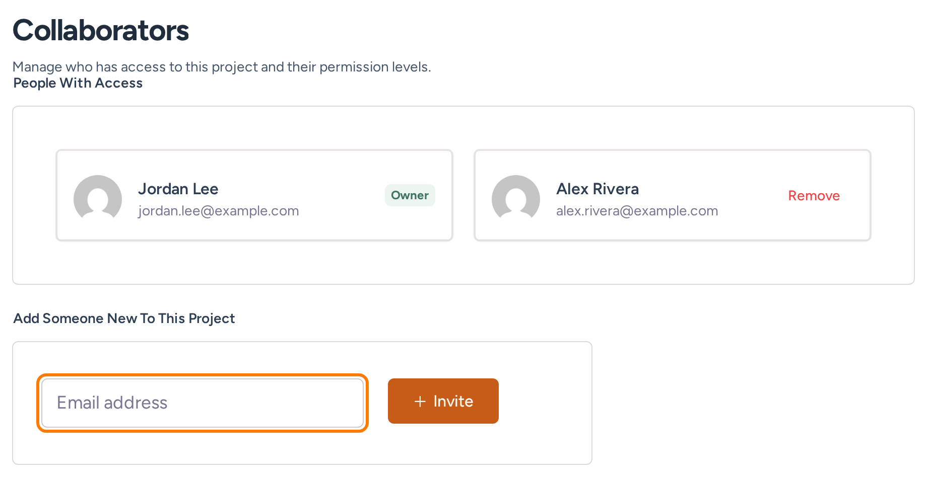 Collaborators settings with example member Alex Rivera and the invitation form