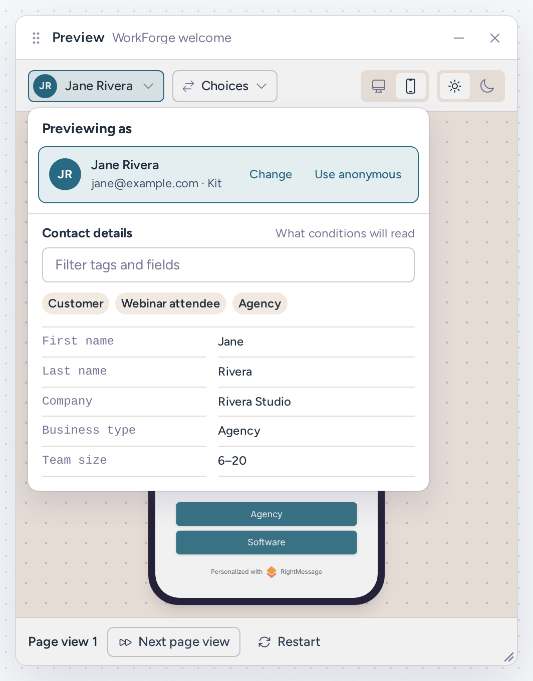 Previewing as popover showing the example contact Jane Rivera from the email platform, with her tags and fields under a filter