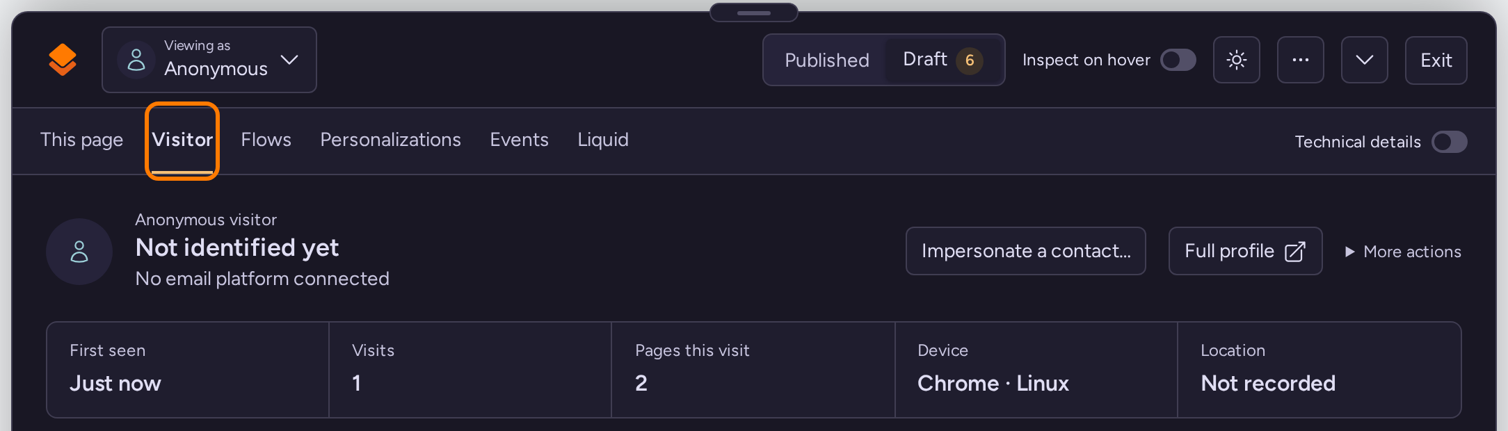 Visitor debugger overview showing anonymous identity, browser and location details, visit counts, and the Full profile link
