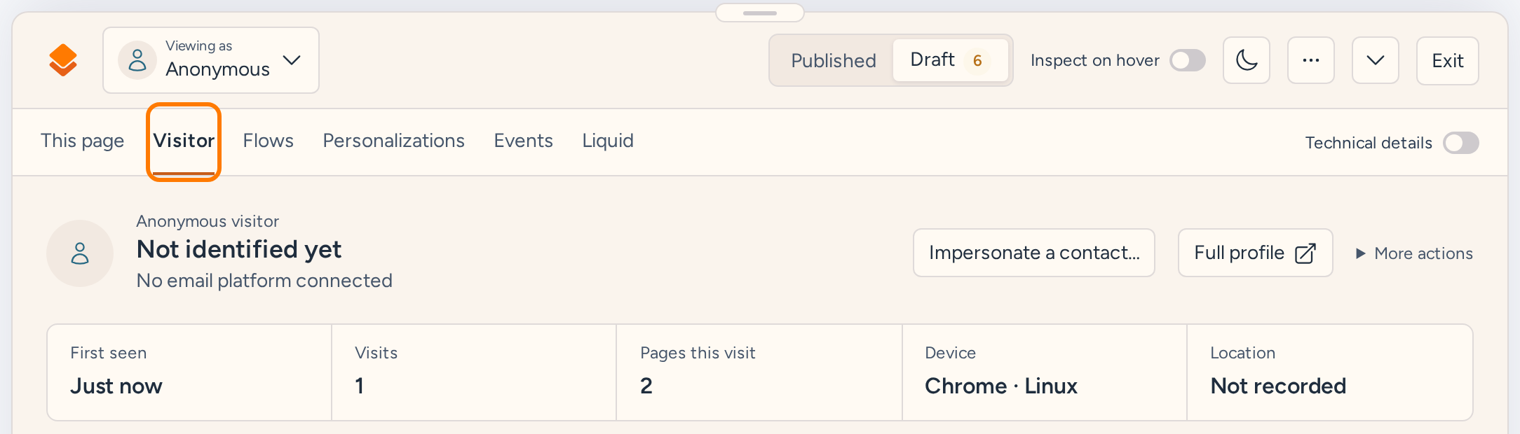Visitor debugger overview showing anonymous identity, browser and location details, visit counts, and the Full profile link
